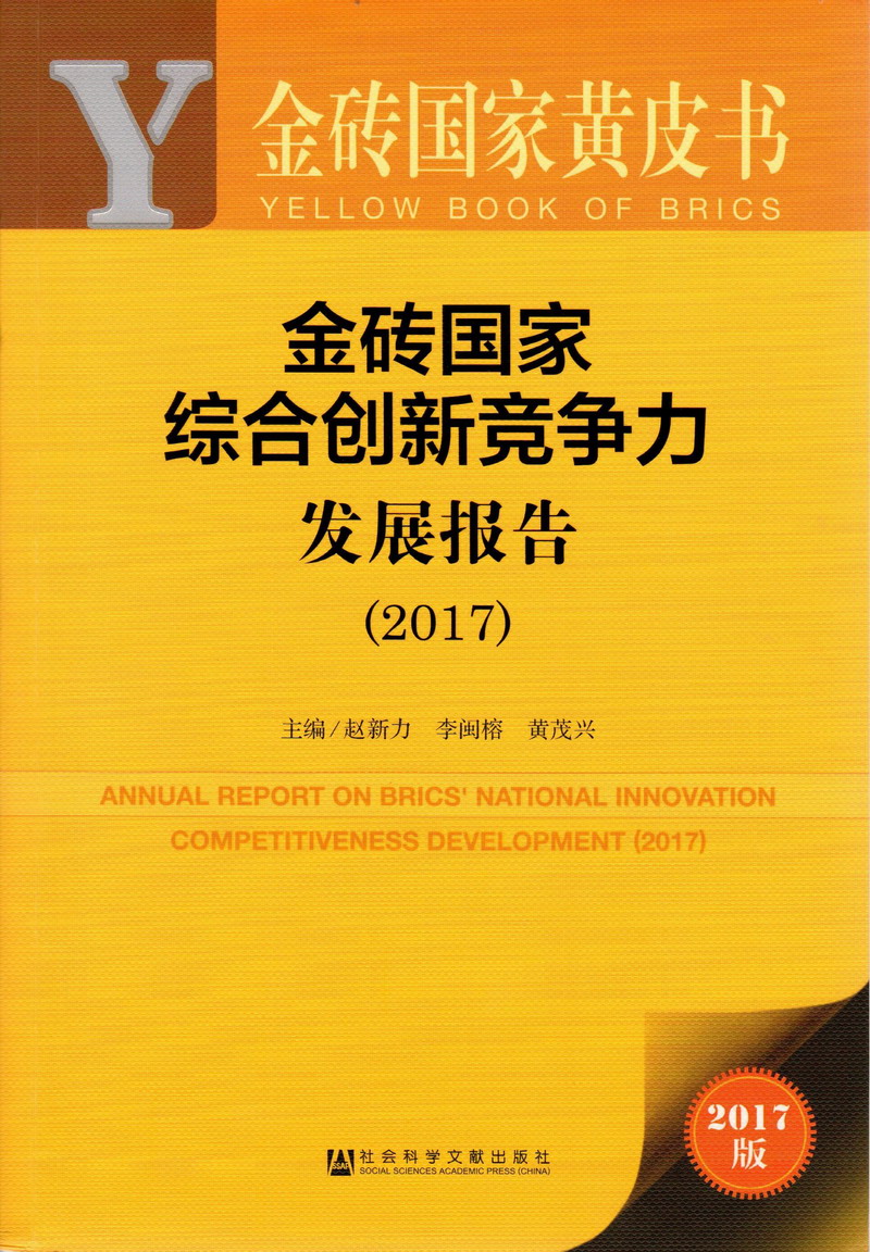 小说:啊啊快干骚货高中金砖国家综合创新竞争力发展报告（2017）